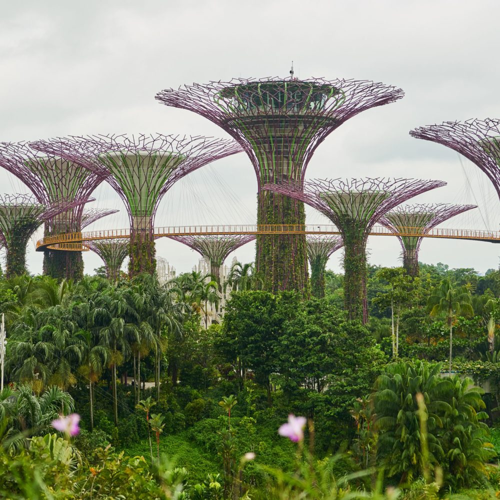Singapore
